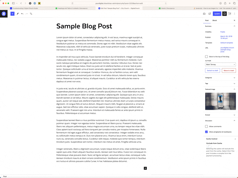 Enable Panels in Block Editor